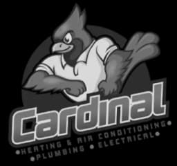 cardinal.webp